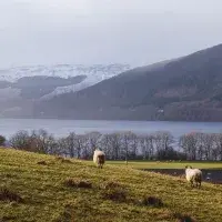 Views around Killin