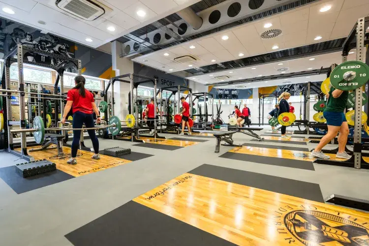 Performance Gym 11