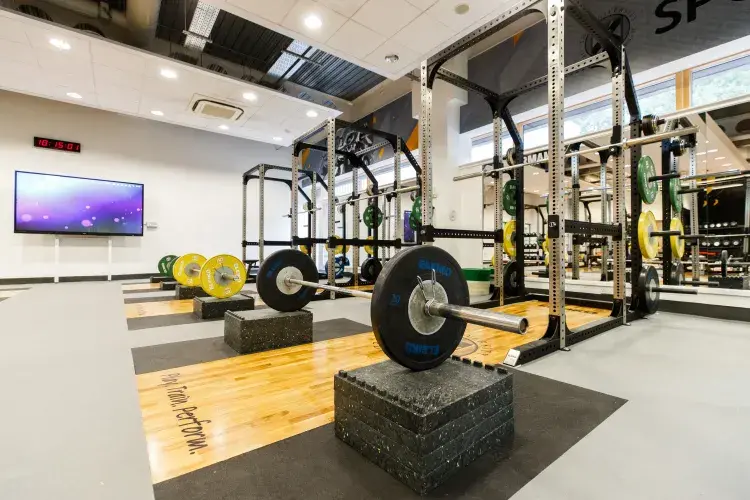 Pleasance Performance Gym 2