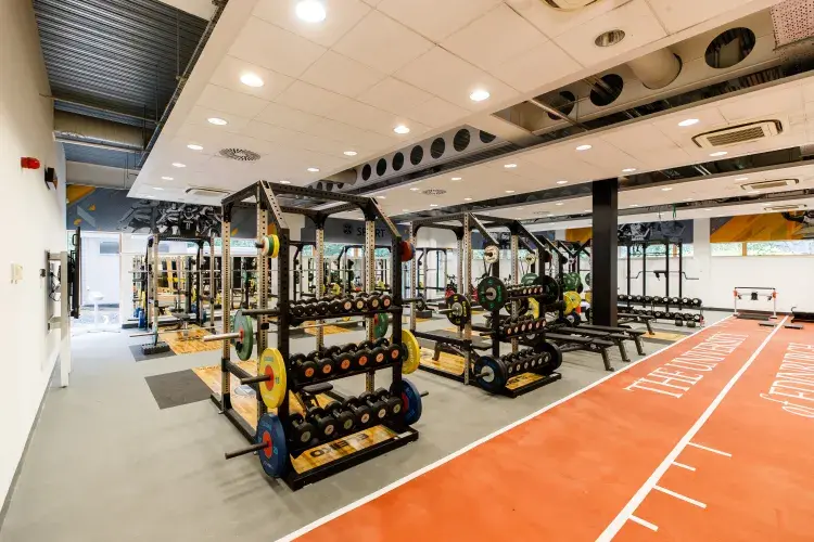 Pleasance Performance Gym 3